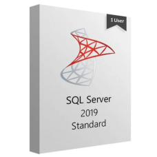 Microsoft SQL Server 2019 Standard License For 1 User
