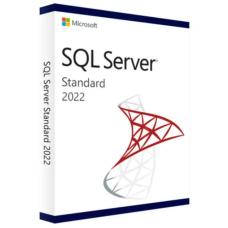 Microsoft SQL Server 2022 Standard Activation Key For 1 User