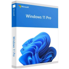 Microsoft Windows 11 Professional Product Activation Key- 1PC
