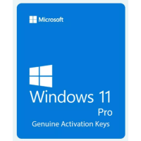 Window 11 Pro